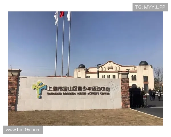 围绕宝山足球裁判培训机构打造区域青少年裁判成长平台示范引领区